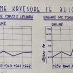 A humbëm apo fituam nga bashkimi?